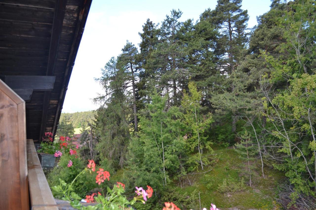 Gasthof Zum Gruenen Baum Верано Экстерьер фото