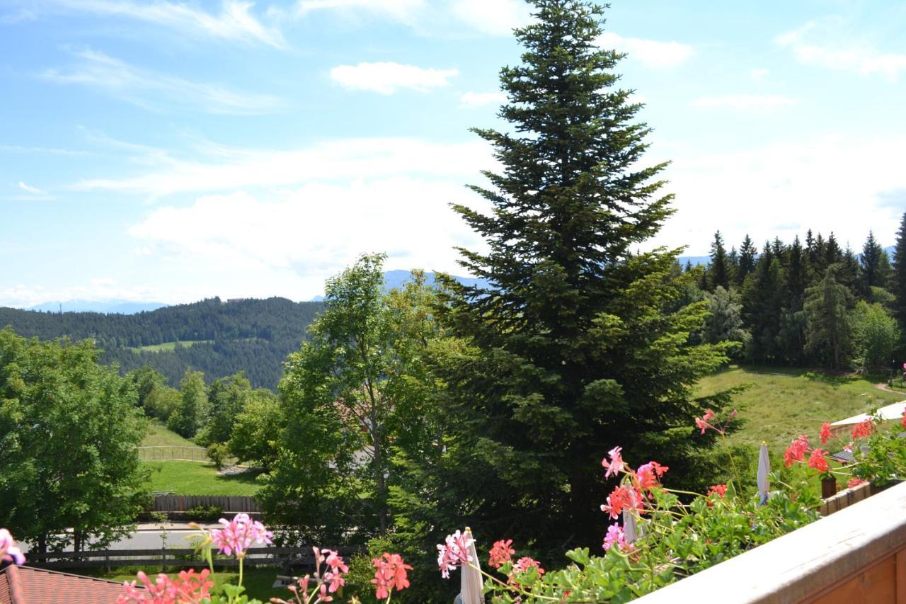 Gasthof Zum Gruenen Baum Верано Экстерьер фото